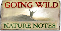 show thumb nature notes